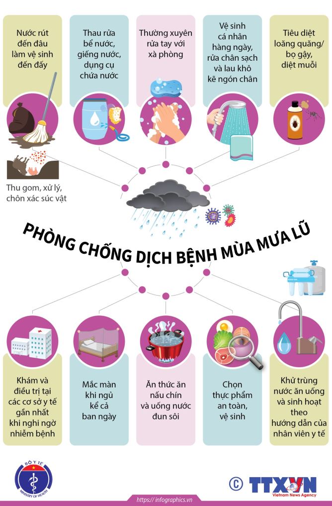 PCD_mua_lu.jpg